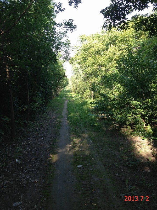 南通錦繡河山苗木7月份最新動(dòng)態(tài)